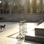 Температура різко зміниться: прогноз погоди в Києві на 11 березня