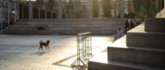 Температура різко зміниться: прогноз погоди в Києві на 11 березня