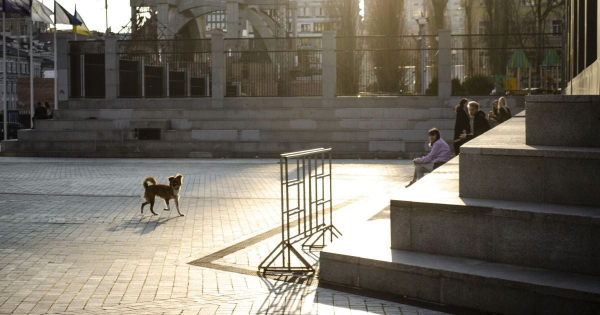 
 Температура різко зміниться: прогноз погоди в&nbsp;Києві на&nbsp;11&nbsp;березня
 