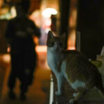 У Києві та області фіксують перебої зі світлом: що відомо про відключення