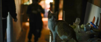 У Києві та області фіксують перебої зі світлом: що відомо про відключення