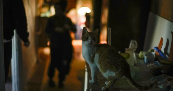 У Києві та області фіксують перебої зі світлом: що відомо про відключення
У Києві та області фіксують перебої зі світлом: що відомо про відключення