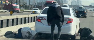 Секунди до трагедії: як у Києві рятували чорне кошеня посеред жвавої траси (відео)