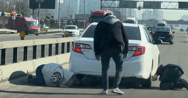 
 Секунди до&nbsp;трагедії: як&nbsp;у&nbsp;Києві рятували чорне кошеня посеред жвавої траси (відео)
 