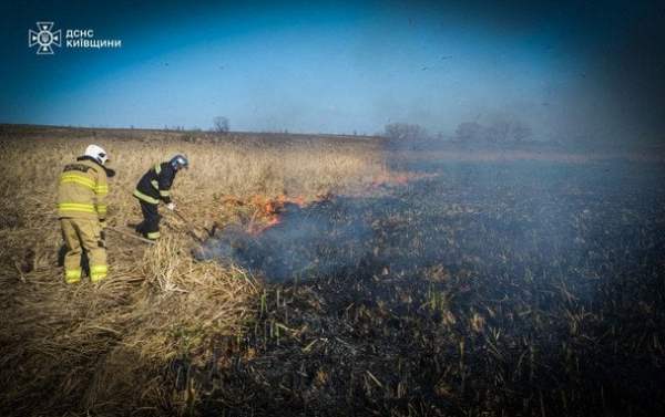  Вогонь охопив десятки гектарів: на Київщині під час спалювання сухостою загинув чоловік (фото) 