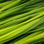 Продуктовые ярмарки в Киеве 17 – 20 марта: адреса