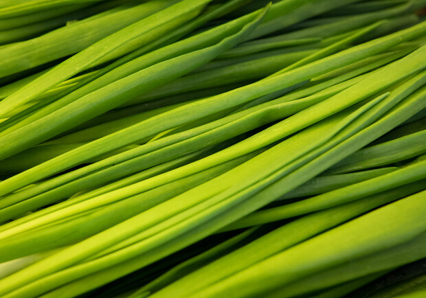 Где на этой неделе в Киеве пройдут продуктовые ярмарки. Адреса