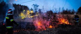 Вогонь охопив десятки гектарів: на Київщині під час спалювання сухостою загинув чоловік (фото)