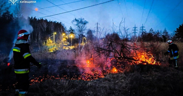  Вогонь охопив десятки гектарів: на Київщині під час спалювання сухостою загинув чоловік (фото) 