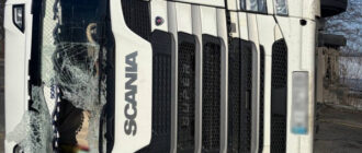 Вантажівка з тваринами перекинулася і перекрила дорогу на Київщині (відео)