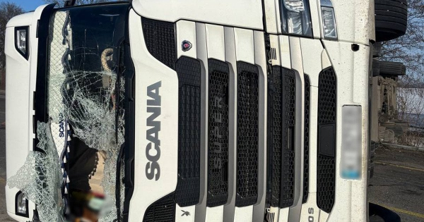 
 Вантажівка з&nbsp;тваринами перекинулася і&nbsp;перекрила дорогу на&nbsp;Київщині (відео)
 