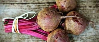 Продуктовые ярмарки в Киеве 7 - 8 марта: адреса