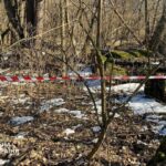 Снаряд підриватимуть на місці: у столичному лісі знайшли нездетоновану бойову частину російського безпілотника