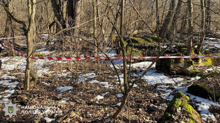 Снаряд підриватимуть на місці: у столичному лісі знайшли нездетоновану бойову частину російського безпілотника