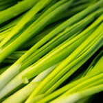 Продуктовые ярмарки в Киеве 22 – 24 апреля: адреса