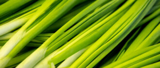 Продуктовые ярмарки в Киеве 22 – 24 апреля: адреса