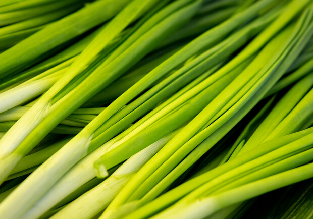 Где на этой неделе в Киеве пройдут продовольственные ярмарки. Адреса 