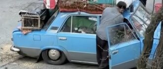 Усе життя в авто: у Києві поліцейські допомогли літньому переселенцю