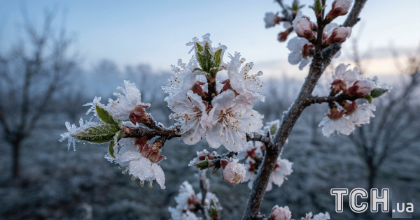 
 На&nbsp;Київщині оголосили перший рівень небезпечності: яка причина
 