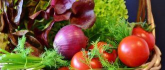 Продуктовые ярмарки в Киеве 26 апреля: адреса