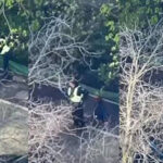 Втекли, поки вбивали людей: у Києві розслідують злочинну бездіяльність патрульних під час теракту