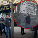 Трагедія у Києві: мешканці рятують кота, чий господар загинув під час теракту