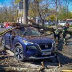 Повалені дерева і знеструмлення: наслідки негоди на Київщині