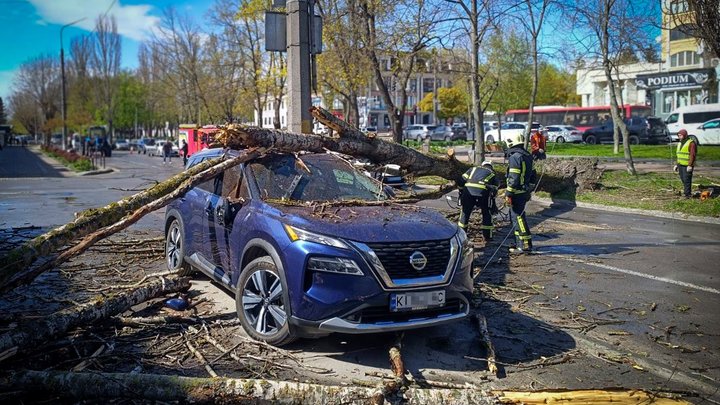 Повалені дерева і знеструмлення: наслідки негоди на Київщині