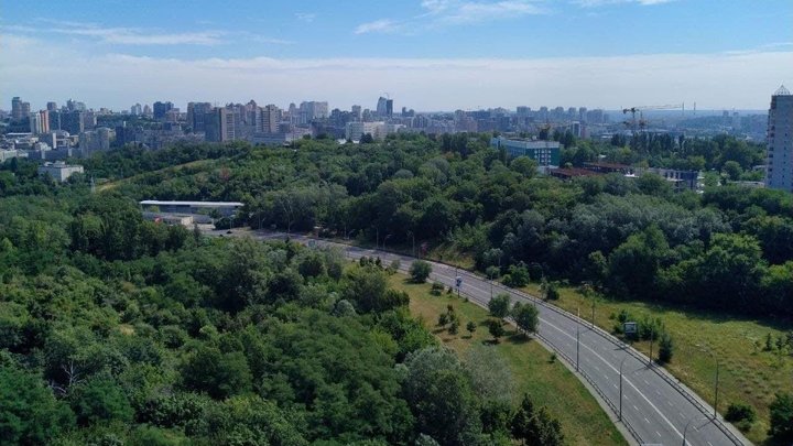 Прибирали і знайшли бойову гранату: у Протасовому Яру провели толоку