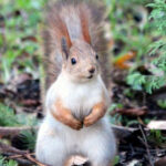 Київ накриє небезпечний удар стихії перед потеплінням: синоптики назвали дату, коли погода зміниться