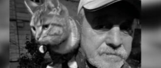 Закрив собою дитину від куль терориста: у Києві помер двірник-герой дядя Саша