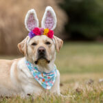 Вихідні в Україні у квітні 2026: скільки відпочиватимемо