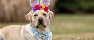 Вихідні в Україні у квітні 2026: скільки відпочиватимемо