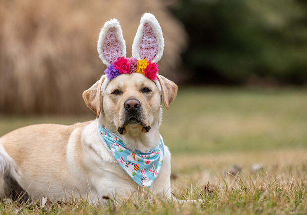 Вихідні в Україні у квітні 2026: скільки відпочиватимемо  -