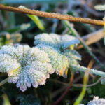 У Києві 14 квітня оголошують перший рівень небезпеки: до чого готуватися