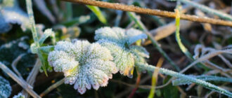У Києві 14 квітня оголошують перший рівень небезпеки: до чого готуватися