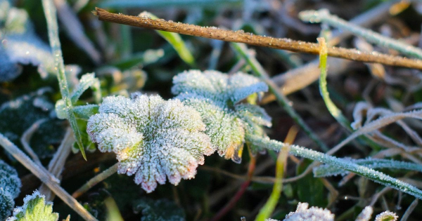 
 У&nbsp;Києві 14&nbsp;квітня оголошують перший рівень небезпеки: до&nbsp;чого готуватися
 