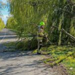 На Київщині через негоду без світла 20 тисяч родин — ДТЕК