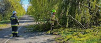 На Київщині через негоду без світла 20 тисяч родин — ДТЕК