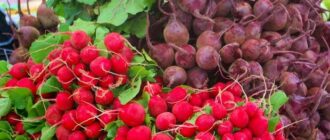 Продуктовые ярмарки в Киеве 4 - 5 апреля: адреса