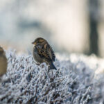 Київ накриє небезпечна стихія: синоптики попередили, коли "розгуляється" негода