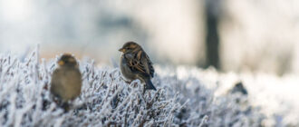 Київ накриє небезпечна стихія: синоптики попередили, коли "розгуляється" негода