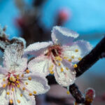 На Київ сунуть одна стихія за одною: синоптики попередили, коли погода зіпсується остаточно