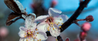 На Київ сунуть одна стихія за одною: синоптики попередили, коли погода зіпсується остаточно