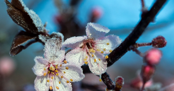 
 На&nbsp;Київ сунуть одна стихія за&nbsp;одною: синоптики попередили, коли погода зіпсується остаточно
 