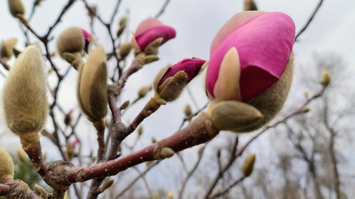На Київщині через негоду без світла 20 тисяч родин — ДТЕК