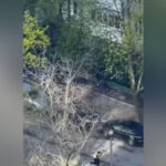 "Я сам кого хочеш повбиваю": сусід київського стрілка пригадав зустріч із ним