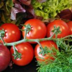 Продуктовые ярмарки в Киеве 18 – 19 апреля: адреса