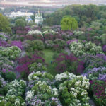 Київ накриває небезпечна стихія та "холодяка": синоптики розповіли, коли вдарить негода