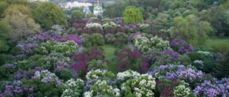 Київ накриває небезпечна стихія та "холодяка": синоптики розповіли, коли вдарить негода
